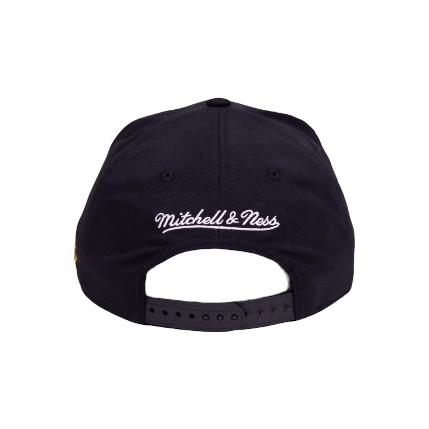 Lakers April Showers Snapback Hat