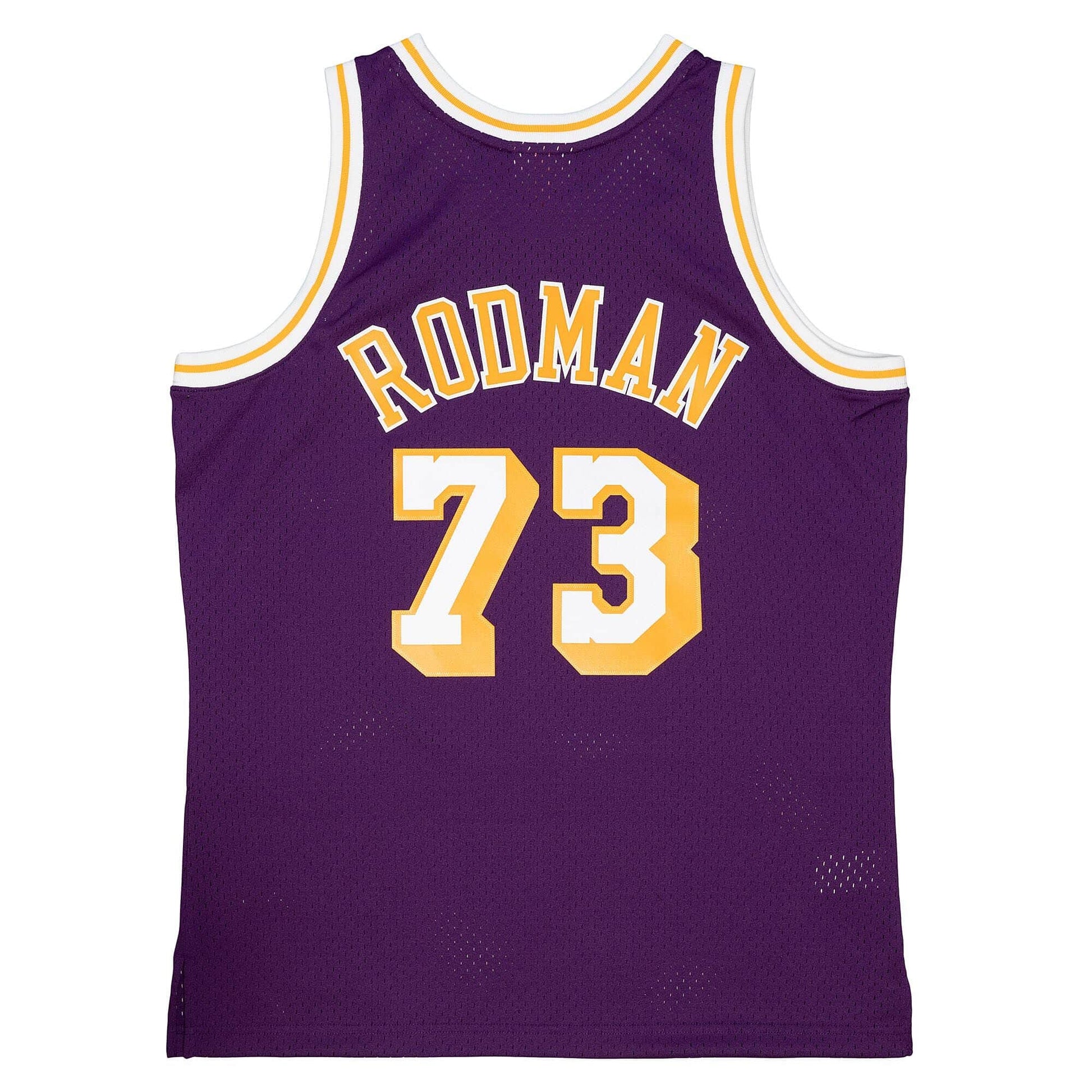 Lakers 98 Rodman Road Jersey Purple