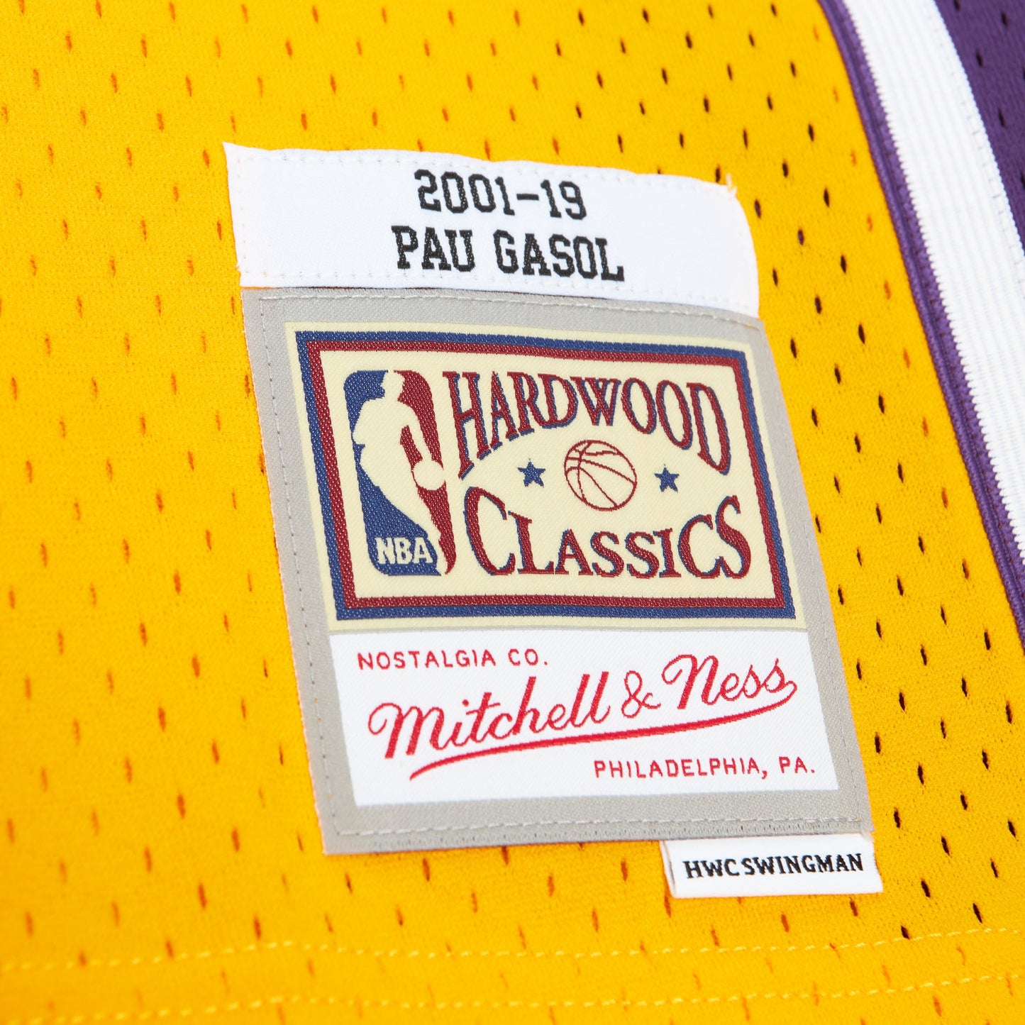 NBA HOF Swingman Jersey Lakers Pau Gasol Icon